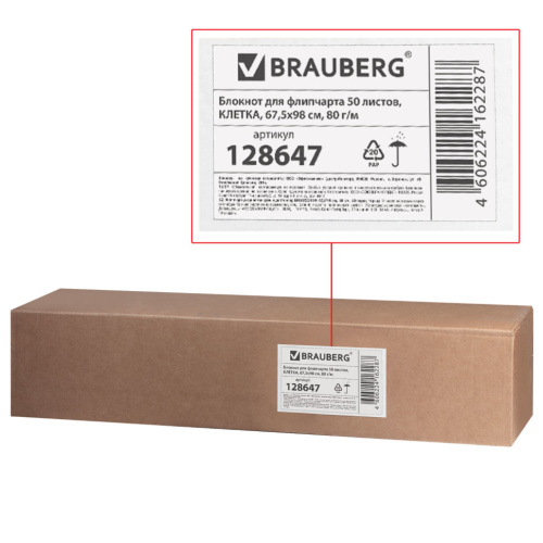 Блокнот для флипчарта Brauberg 50 листов, клетка 128647 фото 3